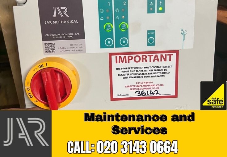 Domestic Maintenance and Services Teddington